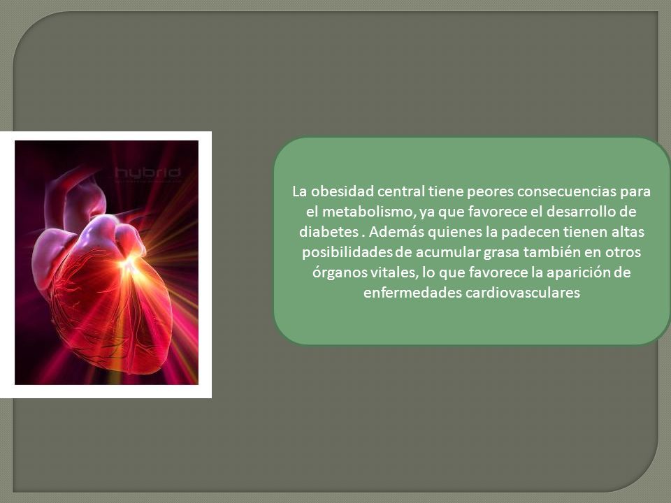 La obesidad central tiene peores consecuencias para el metabolismo, ya que favorece el desarrollo de diabetes .