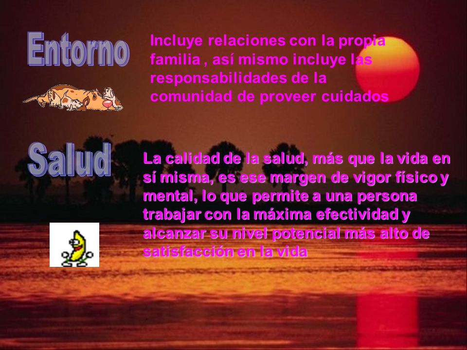 Incluye relaciones con la propia familia , así mismo incluye las responsabilidades de la comunidad de proveer cuidados