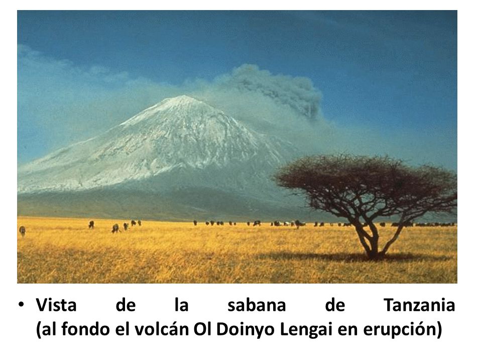 Vista de la sabana de Tanzania (al fondo el volcán Ol Doinyo Lengai en erupción)