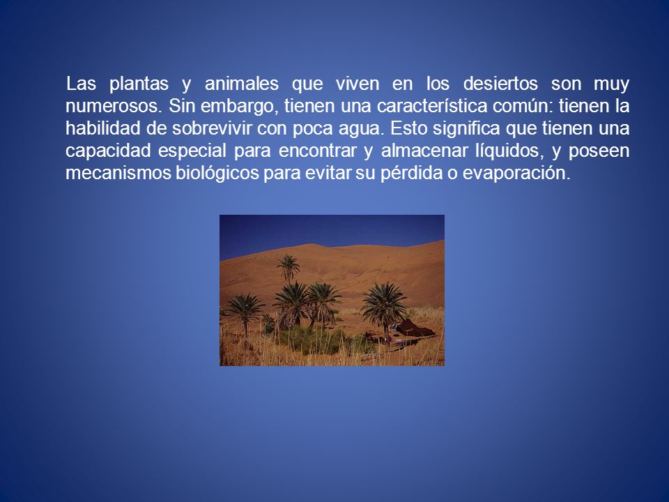 Las plantas y animales que viven en los desiertos son muy numerosos