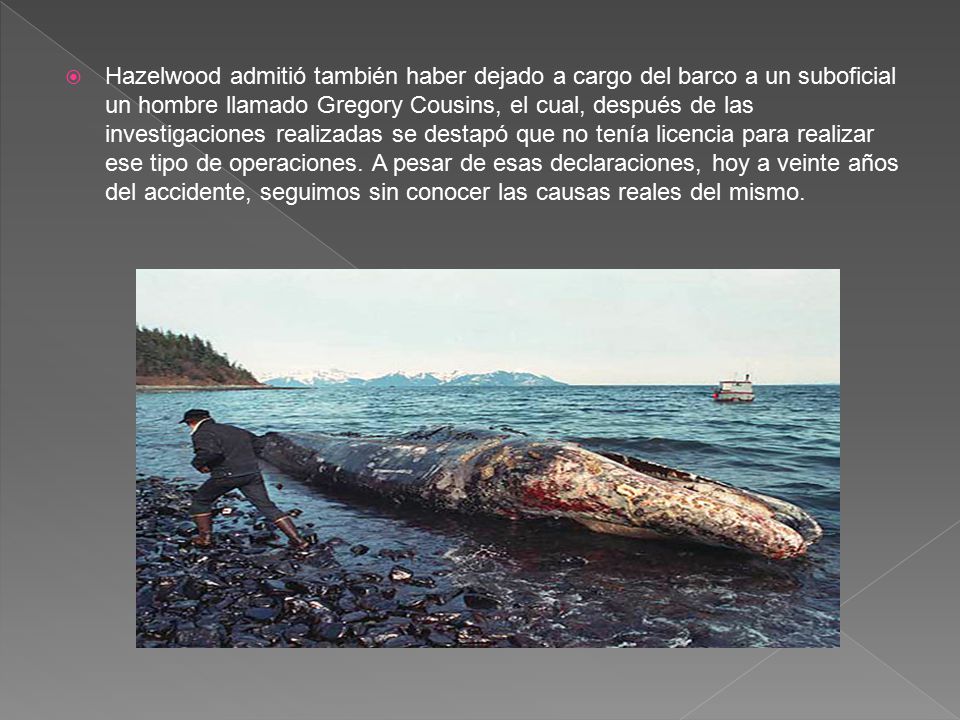 Hazelwood admitió también haber dejado a cargo del barco a un suboficial un hombre llamado Gregory Cousins, el cual, después de las investigaciones realizadas se destapó que no tenía licencia para realizar ese tipo de operaciones.