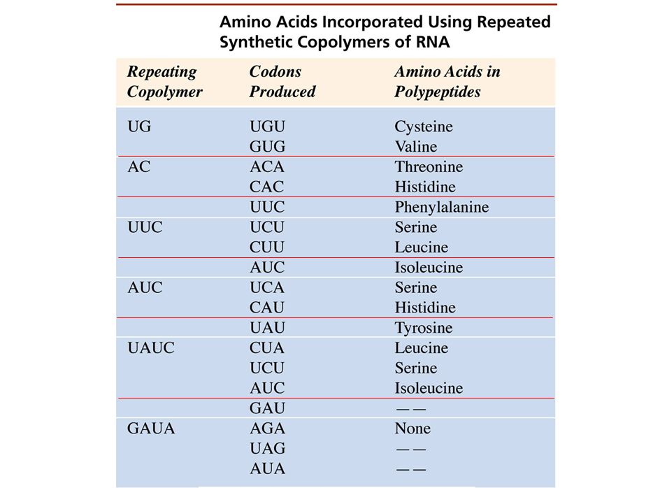 Figure: 13-T03 Amino Acids Incorporated Using Repeated Synthetic Copolymers of RNA.