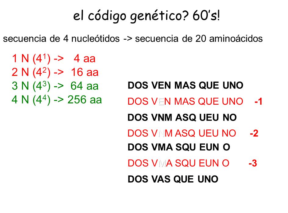 el código genético 60’s! 1 N (41) -> 4 aa 2 N (42) -> 16 aa