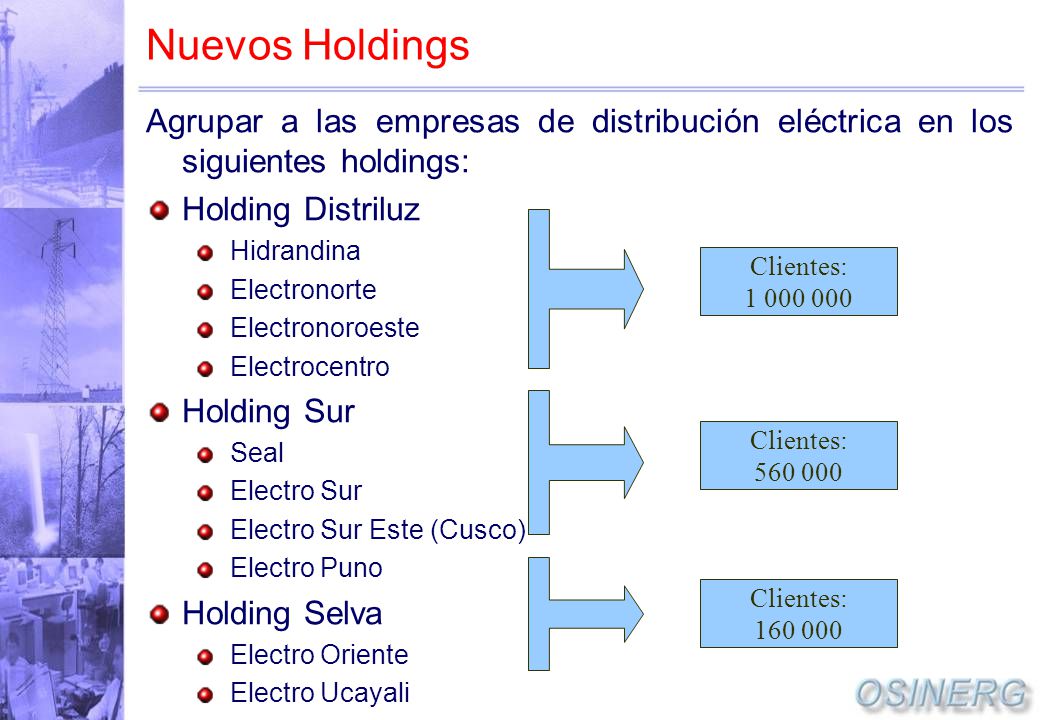 Nuevos Holdings Agrupar a las empresas de distribución eléctrica en los siguientes holdings: Holding Distriluz.