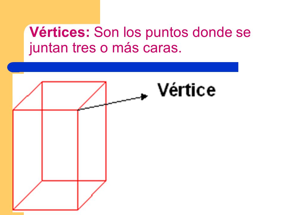 Vértices: Son los puntos donde se juntan tres o más caras.