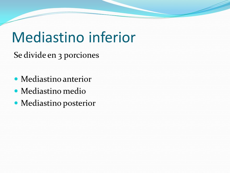 Mediastino inferior Se divide en 3 porciones Mediastino anterior