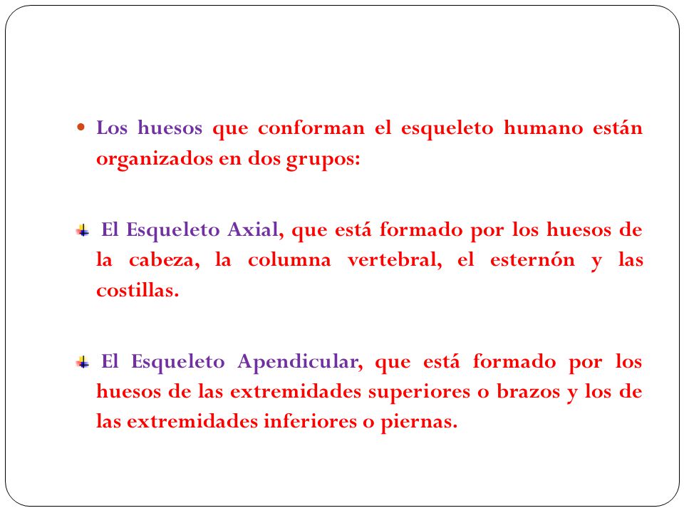 Los huesos que conforman el esqueleto humano están organizados en dos grupos: