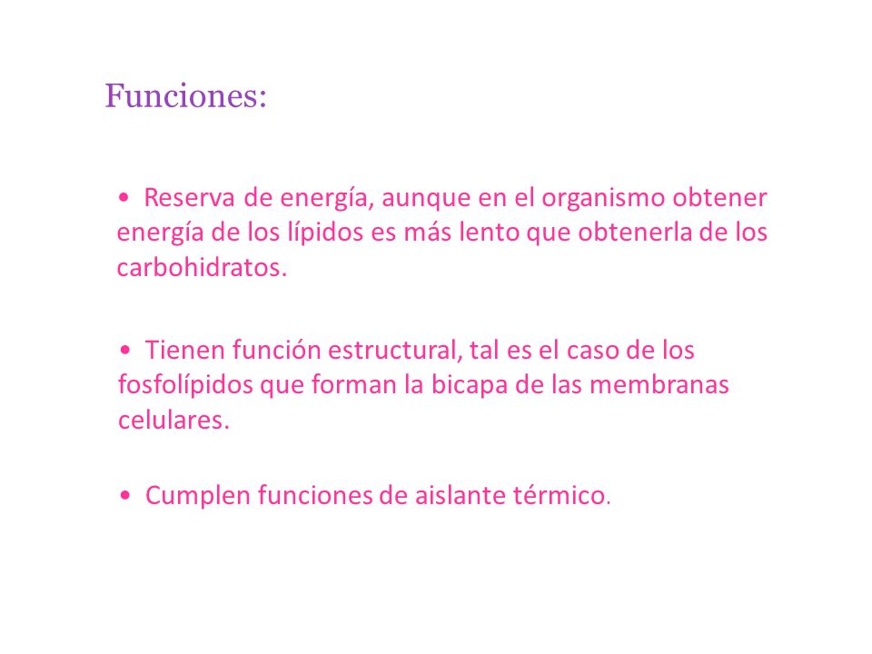 Funciones: Reserva de energía, aunque en el organismo obtener energía de los lípidos es más lento que obtenerla de los carbohidratos.
