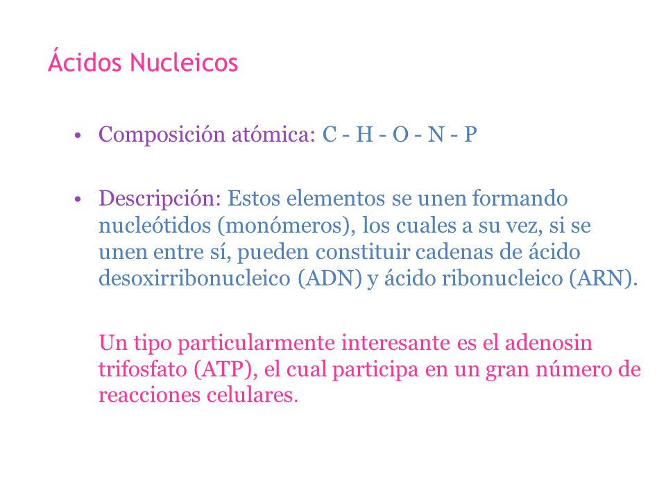 Ácidos Nucleicos Composición atómica: C - H - O - N - P