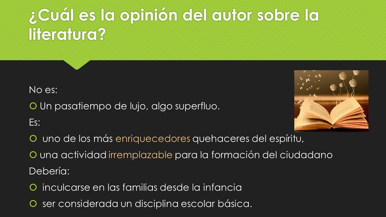 ¿Cuál es la opinión del autor sobre la literatura