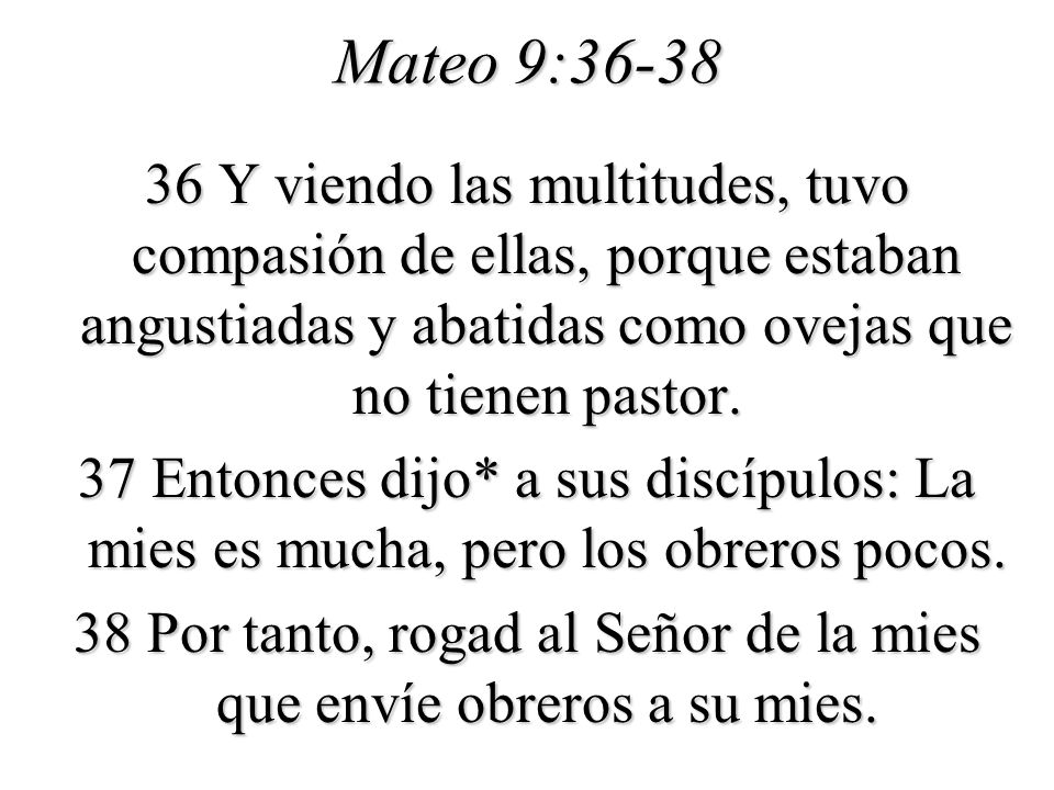 Mateo 9:36-38