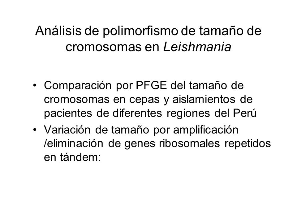 Análisis de polimorfismo de tamaño de cromosomas en Leishmania