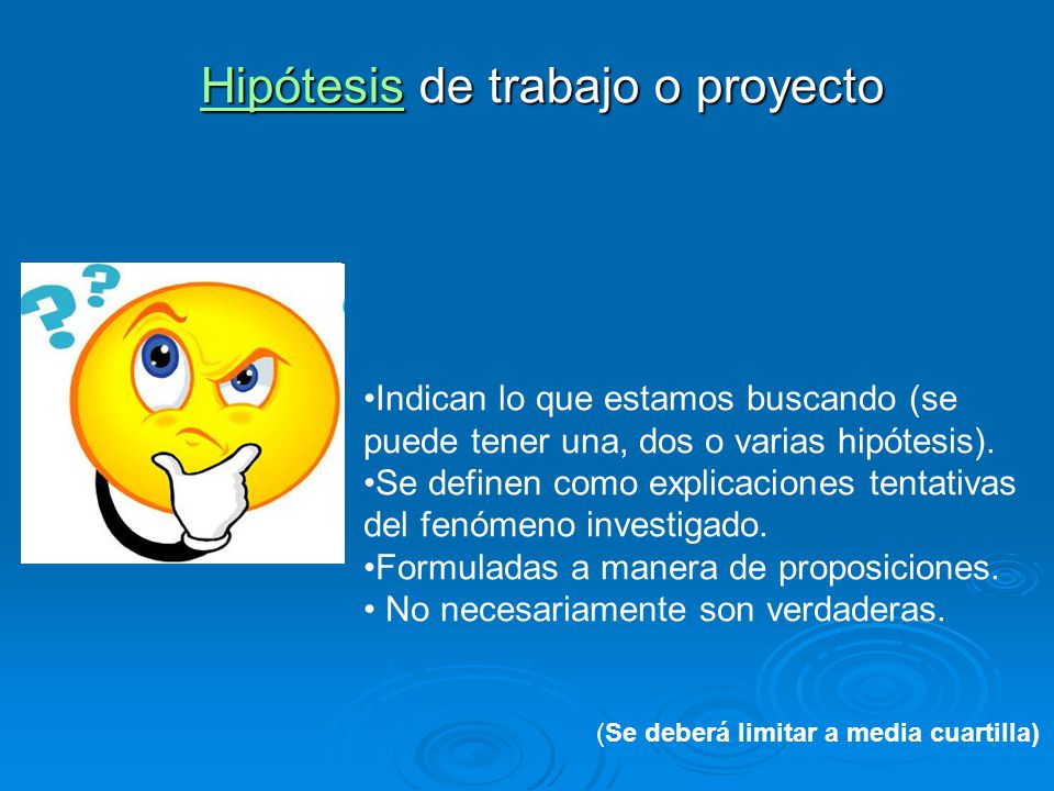 Hipótesis de trabajo o proyecto
