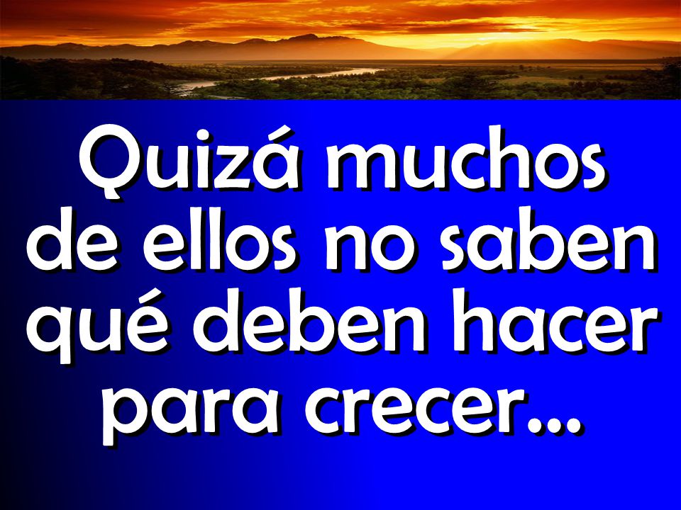 Quizá muchos de ellos no saben qué deben hacer para crecer…