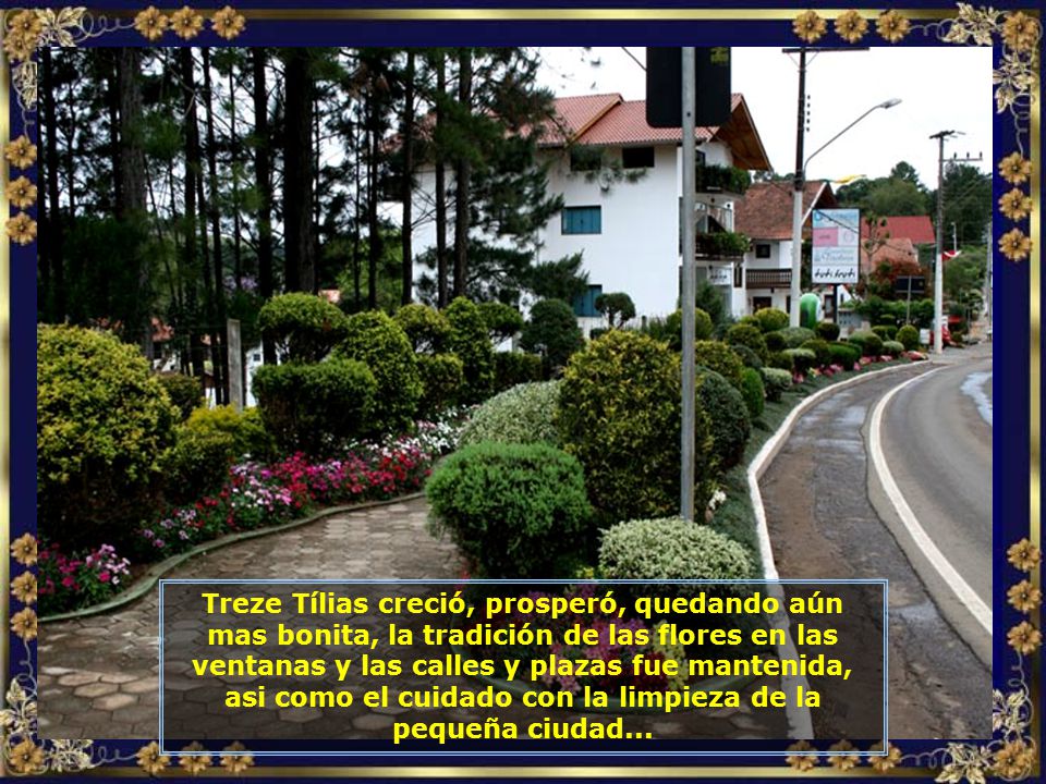 IMG_ TREZE TÍLIAS - CIDADE COM FLORES-700.jpg