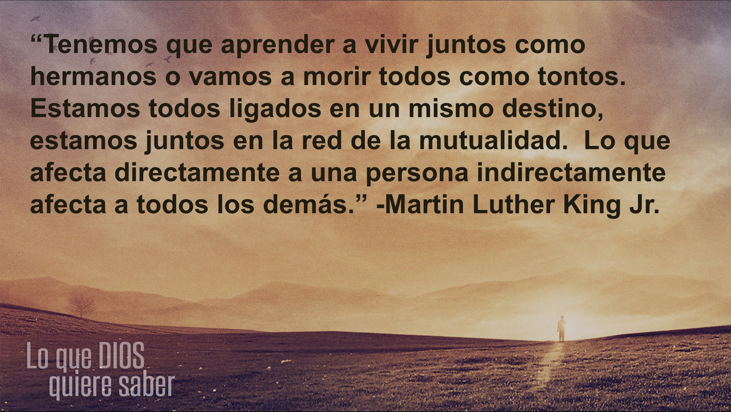 Tenemos que aprender a vivir juntos como hermanos o vamos a morir todos como tontos.