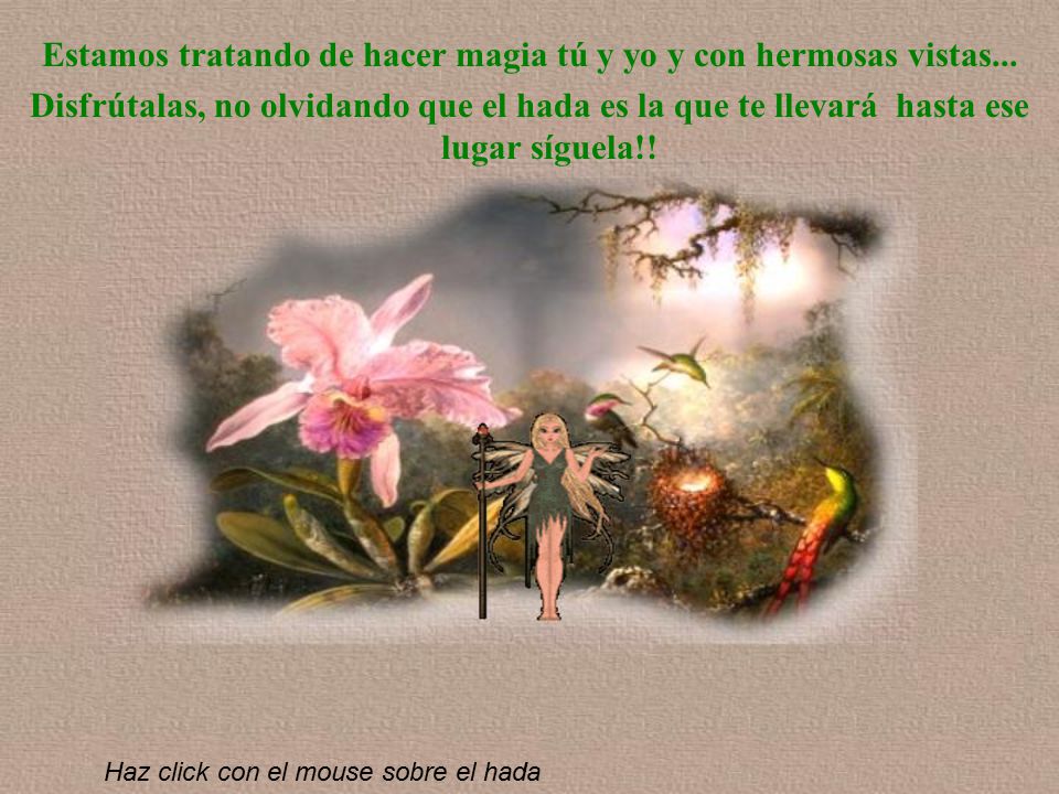 Estamos tratando de hacer magia tú y yo y con hermosas vistas...