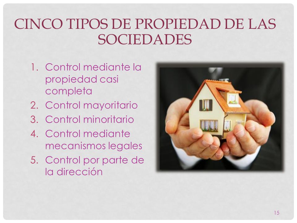 Cinco tipos de propiedad de las sociedades