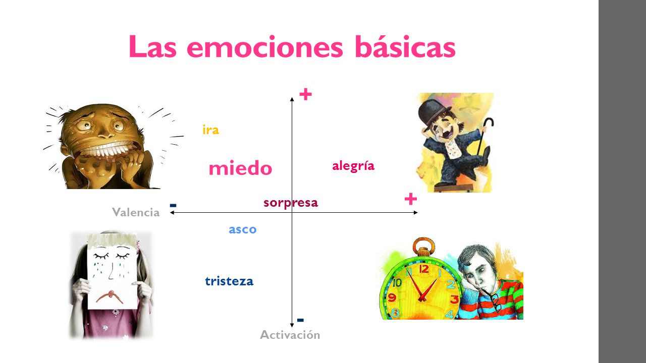Las emociones básicas miedo ira alegría sorpresa asco tristeza