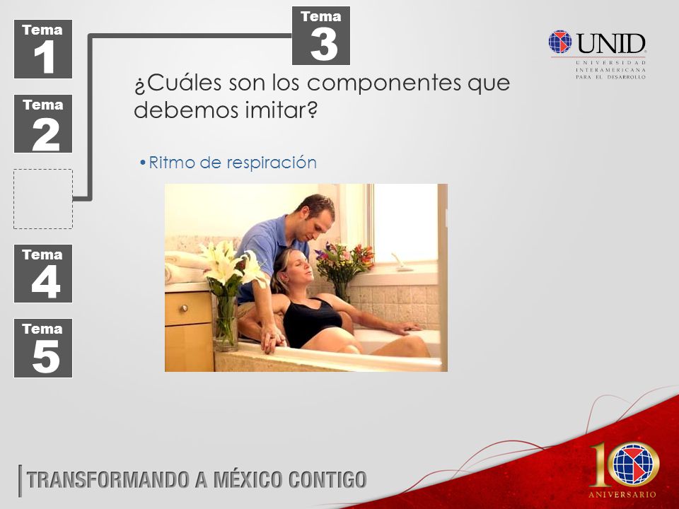 ¿Cuáles son los componentes que debemos imitar