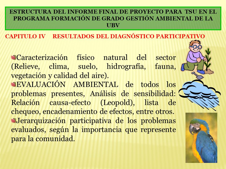 ESTRUCTURA DEL INFORME FINAL DE PROYECTO PARA TSU EN EL PROGRAMA FORMACIÓN DE GRADO GESTIÓN AMBIENTAL DE LA UBV