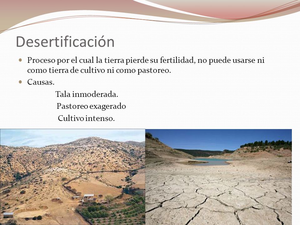 Desertificación Proceso por el cual la tierra pierde su fertilidad, no puede usarse ni como tierra de cultivo ni como pastoreo.