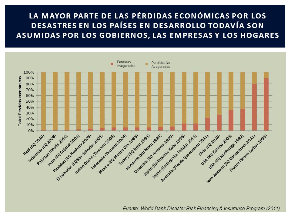 LA MAYOR PARTE DE LAS PÉRDIDAS ECONÓMICAS POR LOS DESASTRES EN LOS PAÍSES EN DESARROLLO TODAVÍA SON ASUMIDAS POR LOS GOBIERNOS, LAS EMPRESAS Y LOS HOGARES
