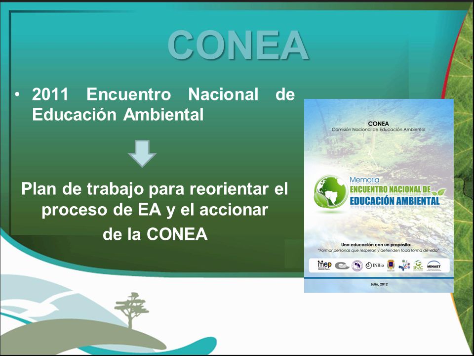Plan de trabajo para reorientar el proceso de EA y el accionar