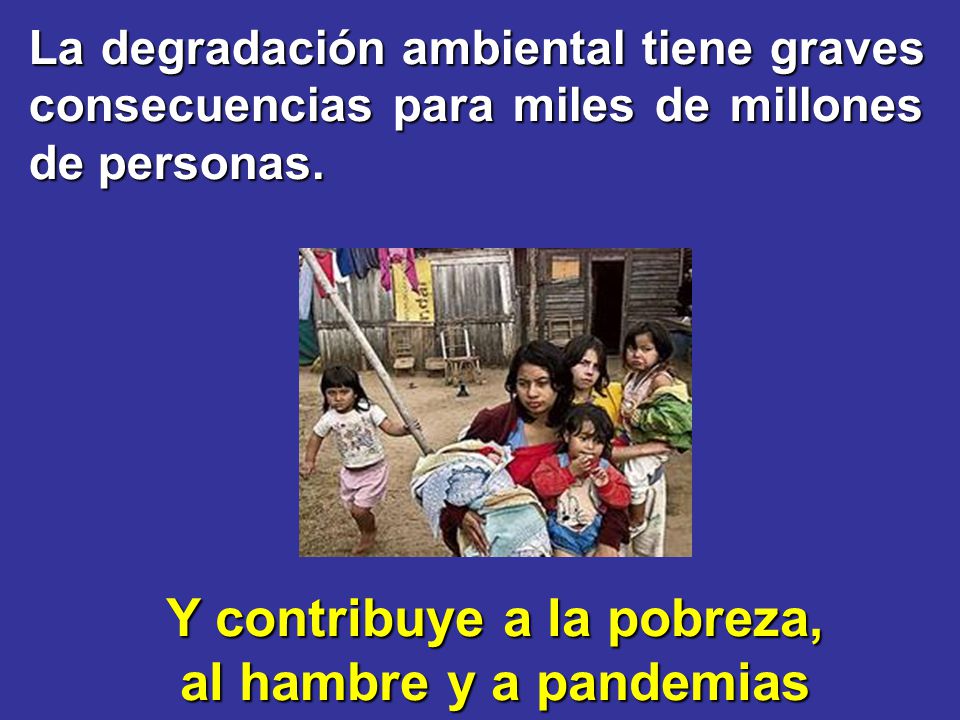Y contribuye a la pobreza, al hambre y a pandemias