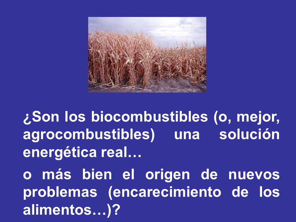 ¿Son los biocombustibles (o, mejor, agrocombustibles) una solución energética real…