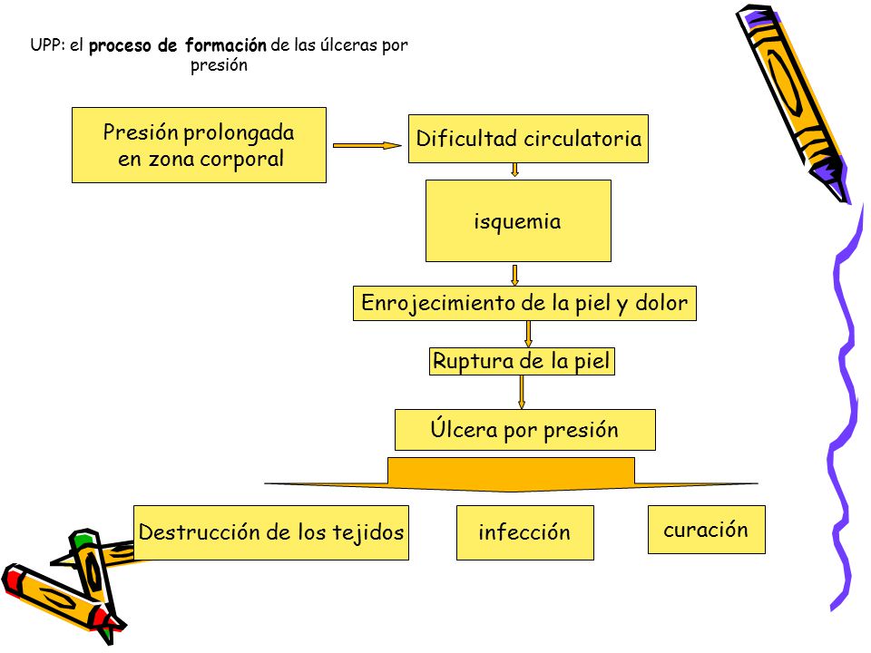 UPP: el proceso de formación de las úlceras por presión