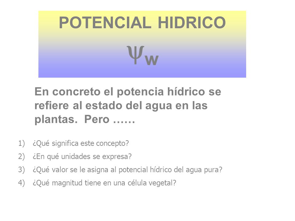 POTENCIAL HIDRICO w. En concreto el potencia hídrico se refiere al estado del agua en las plantas. Pero ……