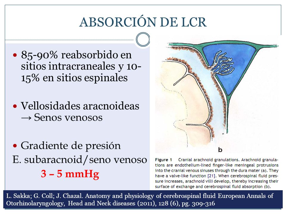 ABSORCIÓN DE LCR 85-90% reabsorbido en sitios intracraneales y 10-15% en sitios espinales. Vellosidades aracnoideas → Senos venosos.