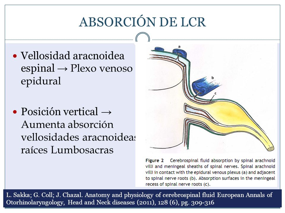 ABSORCIÓN DE LCR Vellosidad aracnoidea espinal → Plexo venoso epidural