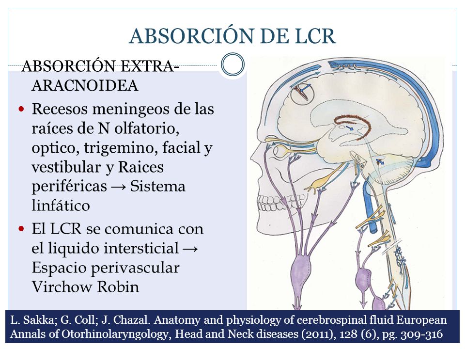 ABSORCIÓN DE LCR ABSORCIÓN EXTRA-ARACNOIDEA