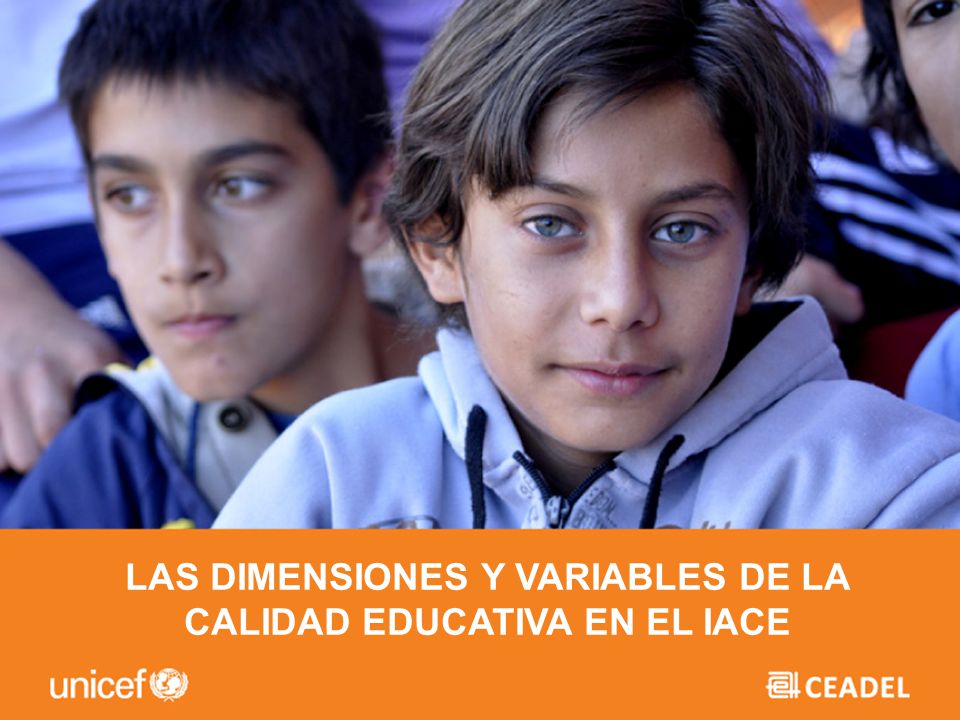 LAS DIMENSIONES Y VARIABLES DE LA CALIDAD EDUCATIVA EN EL IACE