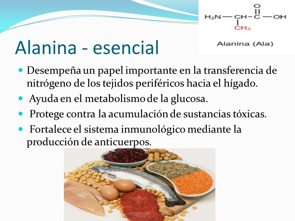 Alanina - esencial Desempeña un papel importante en la transferencia de nitrógeno de los tejidos periféricos hacia el hígado.