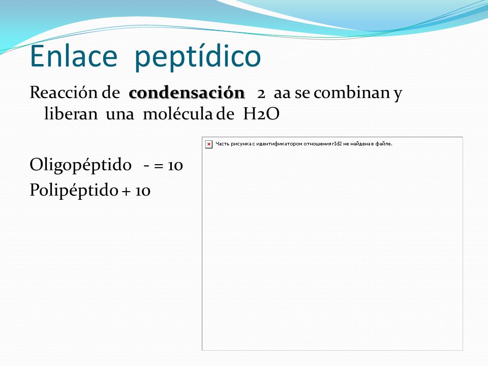 Enlace peptídico Reacción de condensación 2 aa se combinan y liberan una molécula de H2O Oligopéptido - = 10 Polipéptido + 10