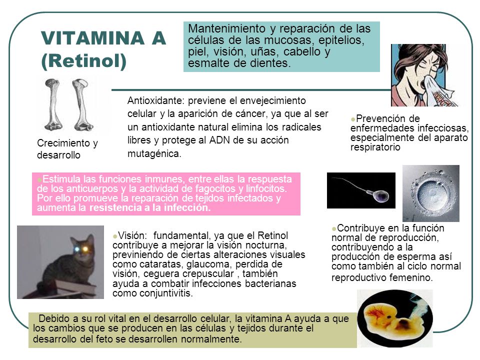 Mantenimiento y reparación de las células de las mucosas, epitelios, piel, visión, uñas, cabello y esmalte de dientes.