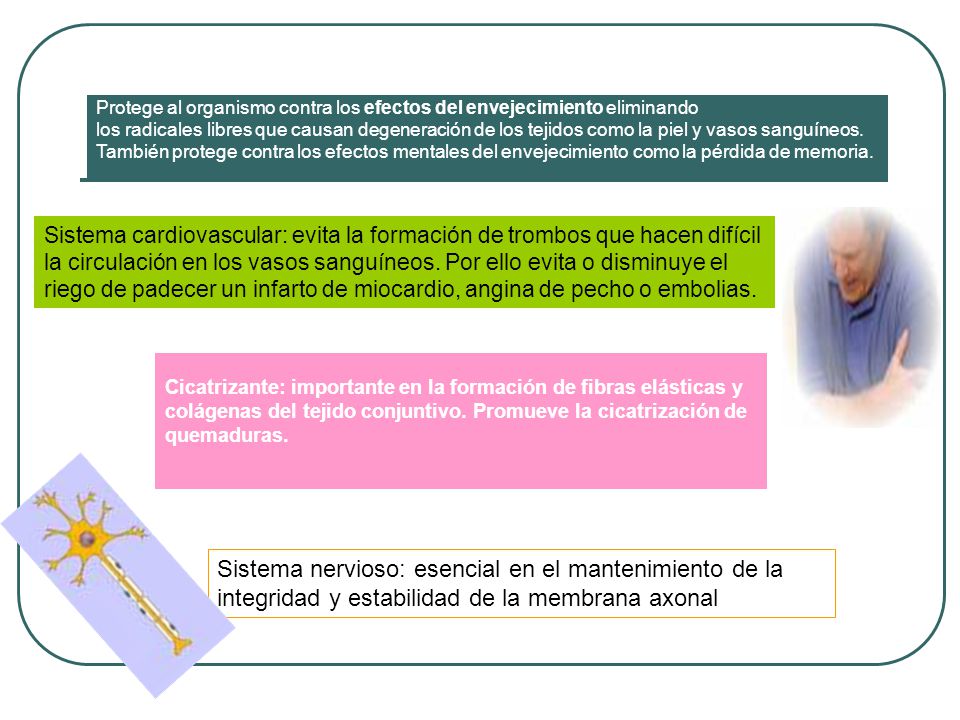 Protege al organismo contra los efectos del envejecimiento eliminando