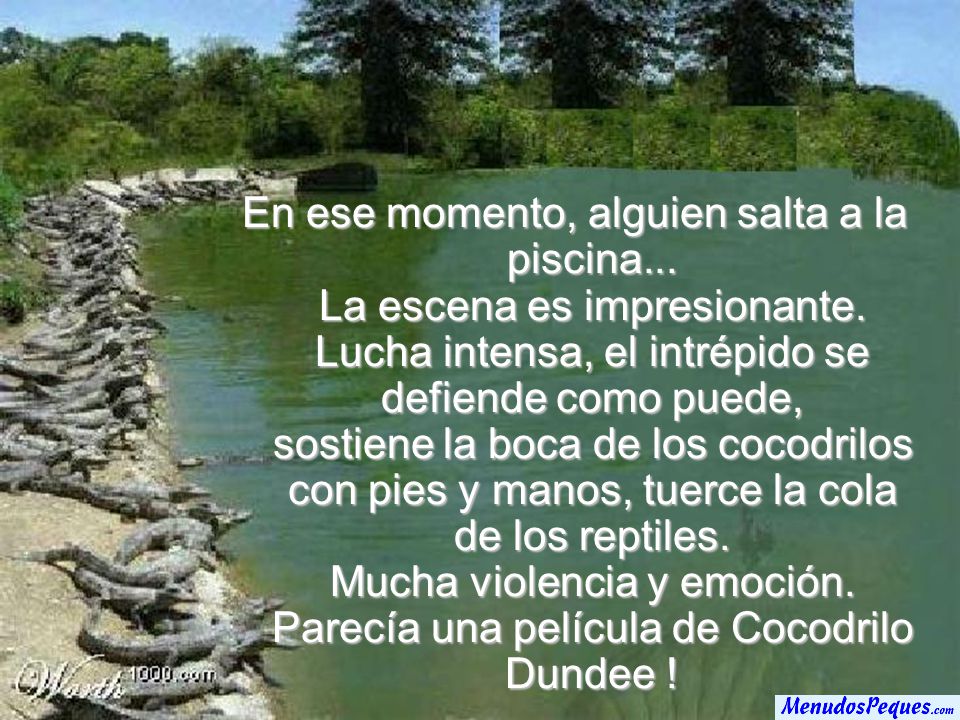 En ese momento, alguien salta a la piscina. La escena es impresionante