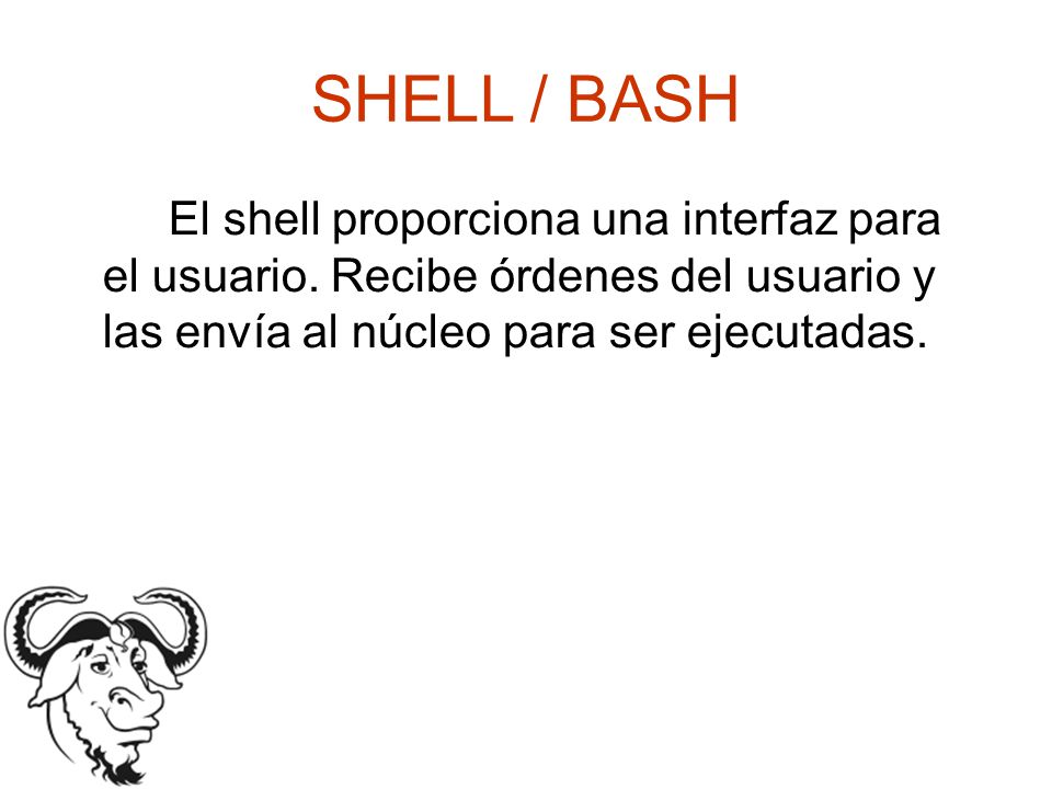 SHELL / BASH El shell proporciona una interfaz para el usuario.