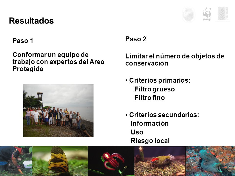Resultados Paso 2 Paso 1 Limitar el número de objetos de conservación