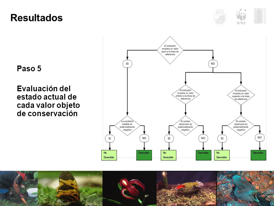 Resultados Paso 5 Evaluación del estado actual de cada valor objeto de conservación