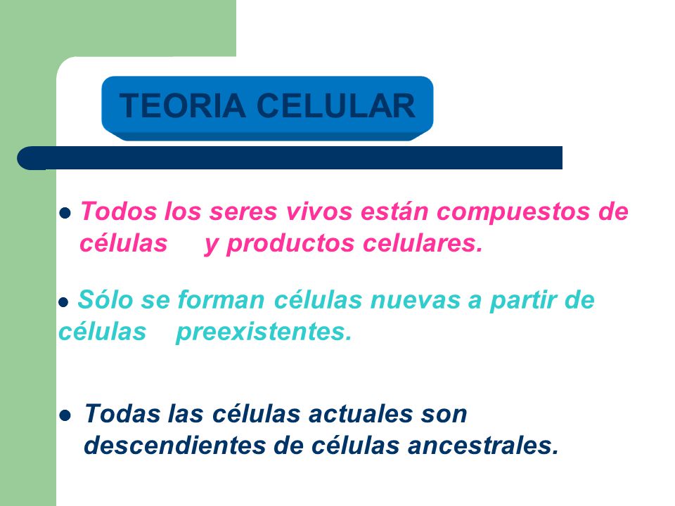 TEORIA CELULAR Todos los seres vivos están compuestos de células y productos celulares.