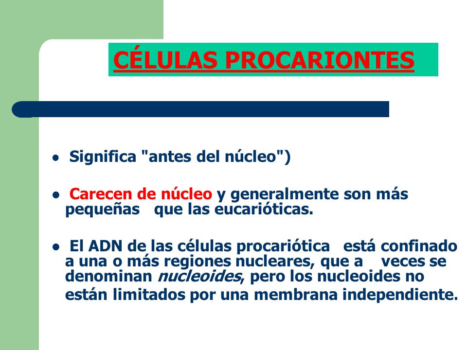 CÉLULAS PROCARIONTES Significa antes del núcleo ) Carecen de núcleo y generalmente son más pequeñas que las eucarióticas.