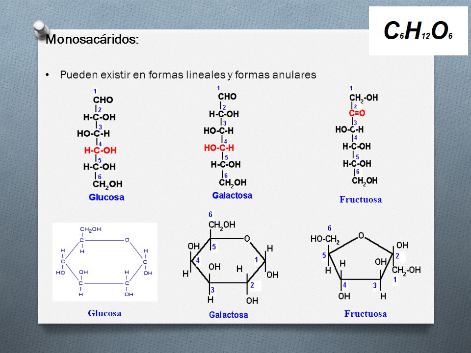 Monosacáridos: Pueden existir en formas lineales y formas anulares