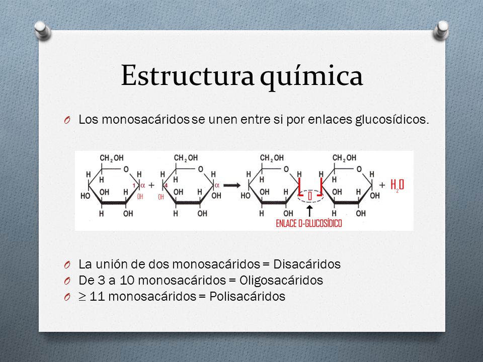 Estructura química Los monosacáridos se unen entre si por enlaces glucosídicos. La unión de dos monosacáridos = Disacáridos.