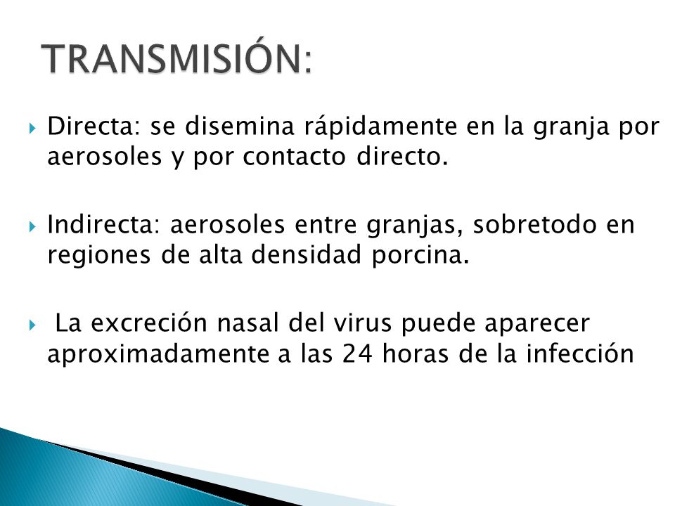 TRANSMISIÓN: Directa: se disemina rápidamente en la granja por aerosoles y por contacto directo.
