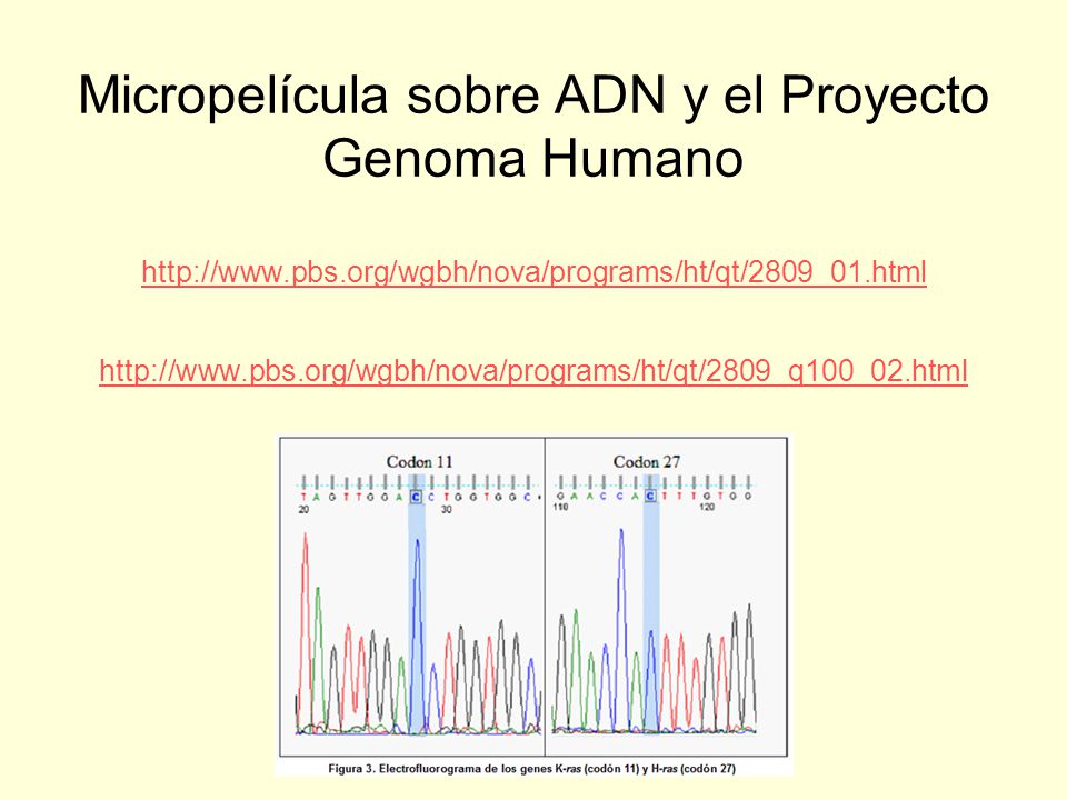 Micropelícula sobre ADN y el Proyecto Genoma Humano   pbs